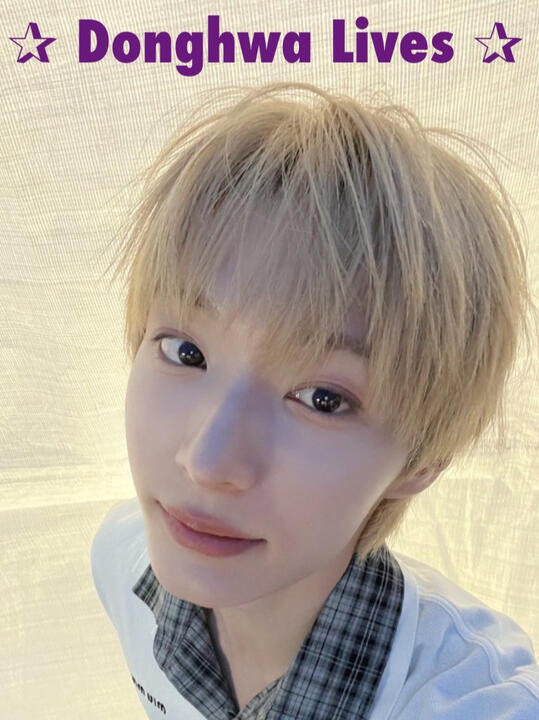 Donghwa Lives